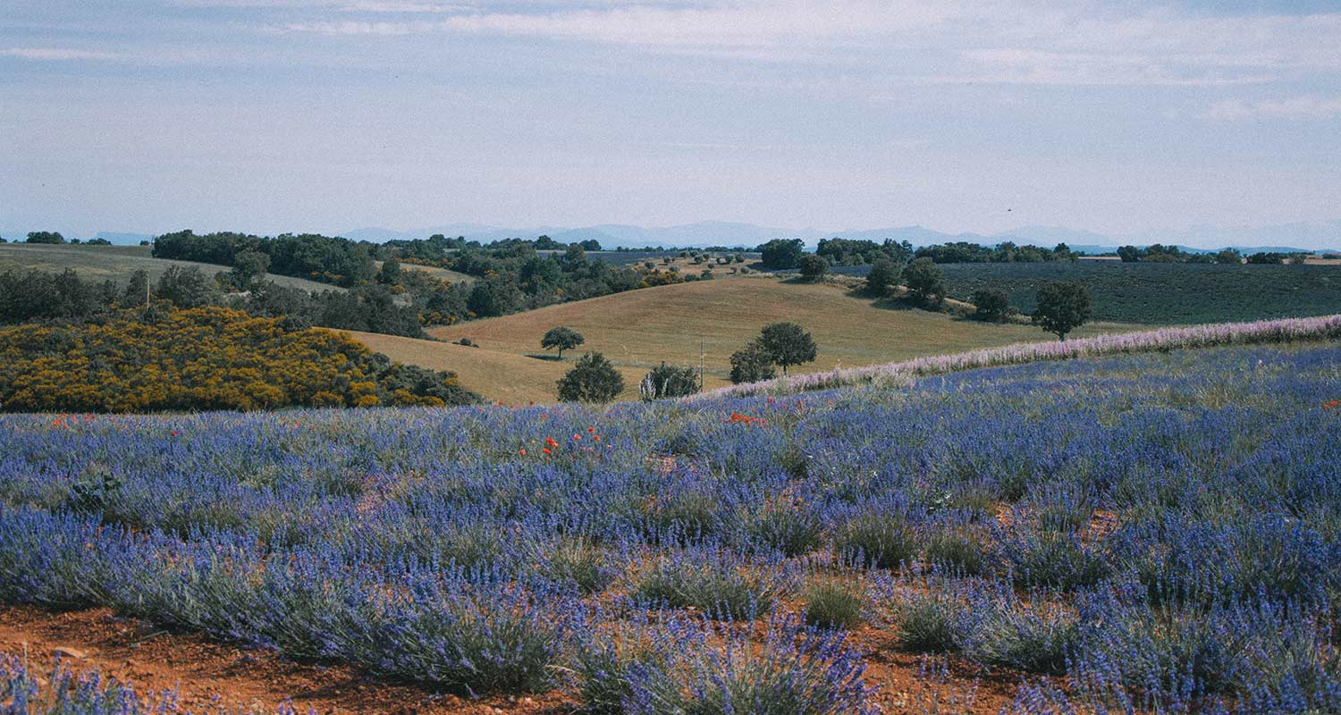 Provence França