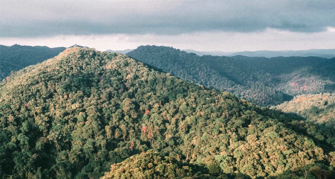 trilha-do-mirante-paranapiacaba