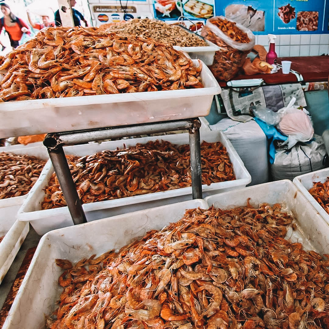 O que comprar no Mercado Municipal Adolpho Lisboa, em Manaus: peixes