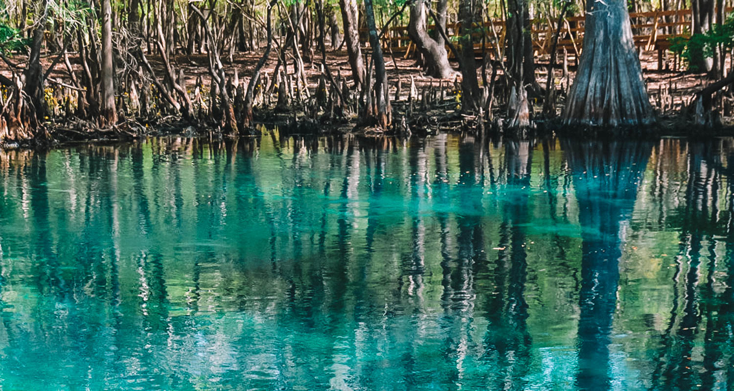 Manatee Springs State Park