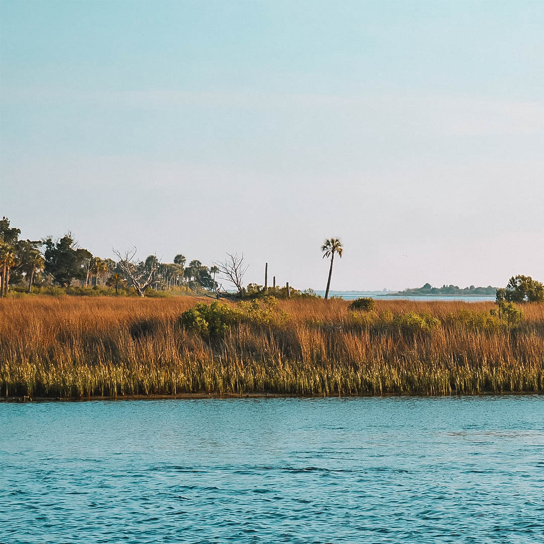 Waccasassa Bay Preserve State Park