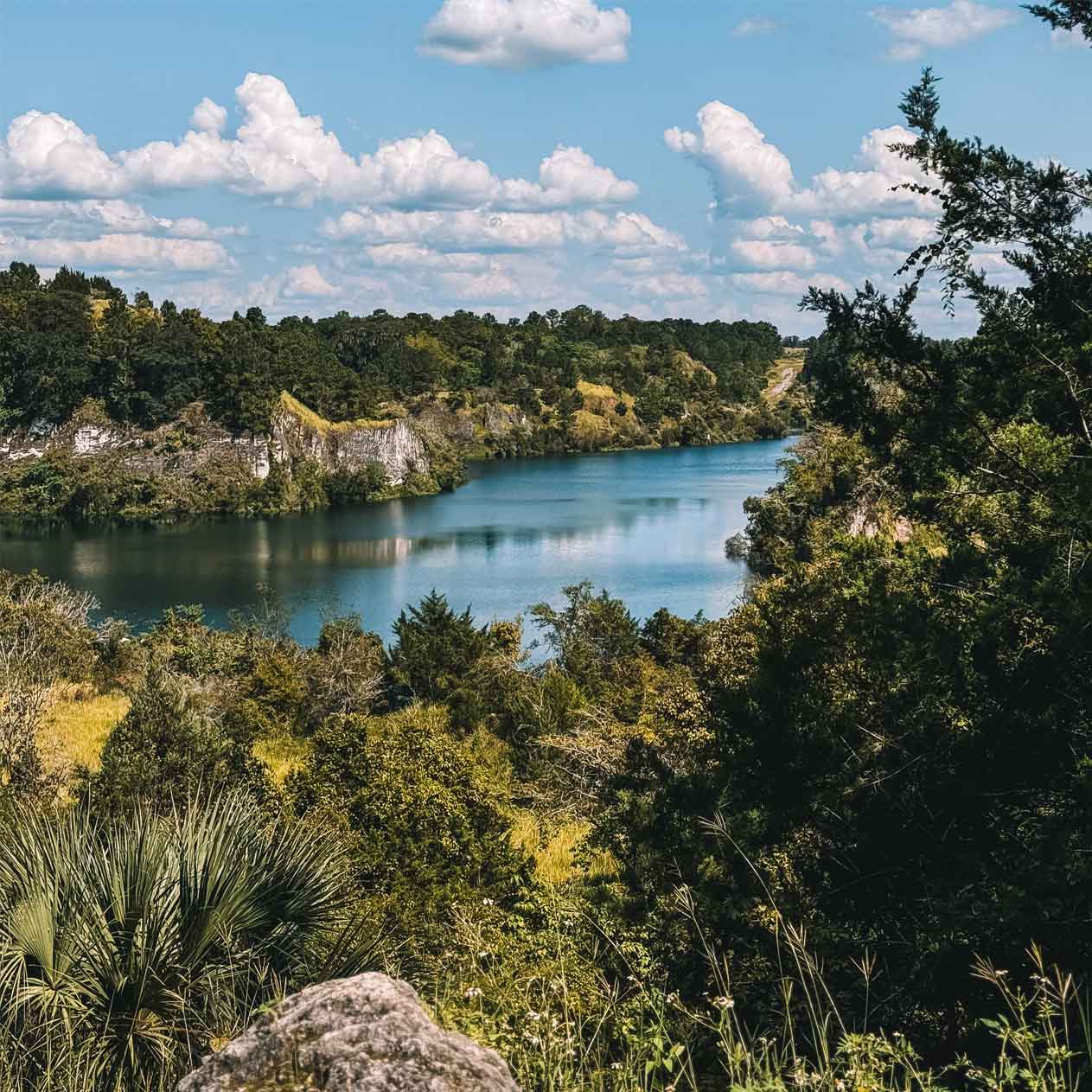 canyons-zipline-ocala-springs